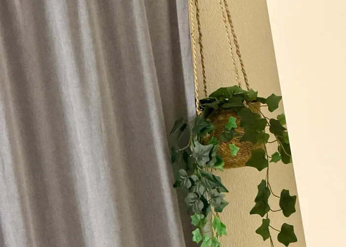 Gabriel Miró 4 Torrevieja